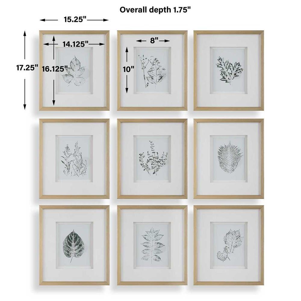 Natures Script Framed Prints Set Of 9