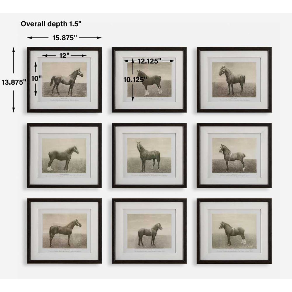 Equine Dynasty Framed Prints, Set of 9