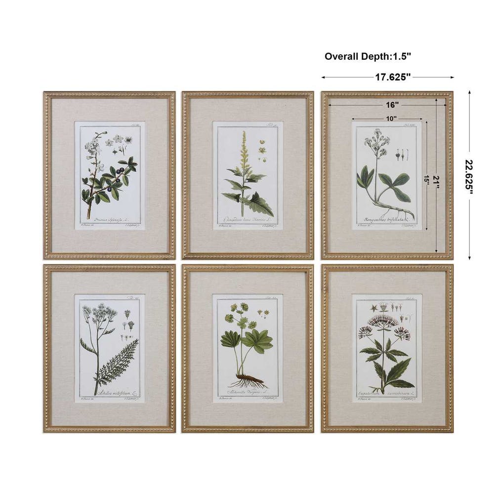 Green Floral Botanical Study Framed Prints, Set of 6