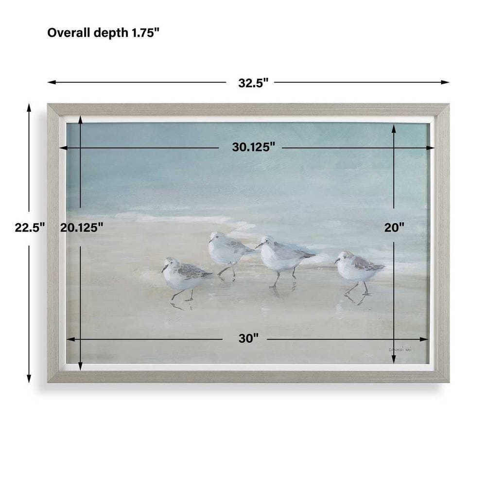 Tranquil Shorebirds on the Sand Framed Print