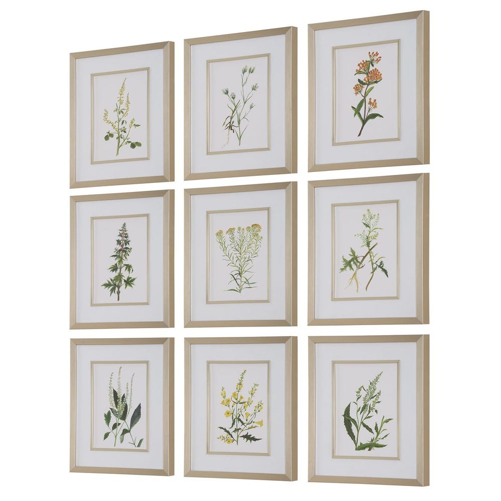 Botanical Flowers Framed Prints, Set of 9
