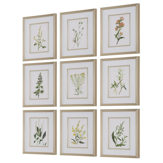Botanical Flowers Framed Prints, Set of 9