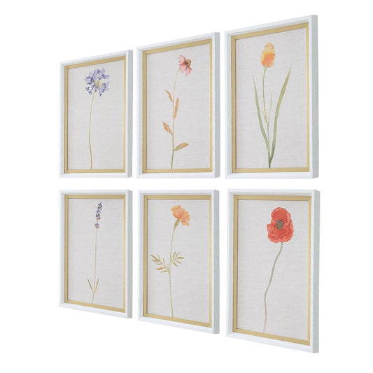 Wild Flourish Framed Prints, Set of 6