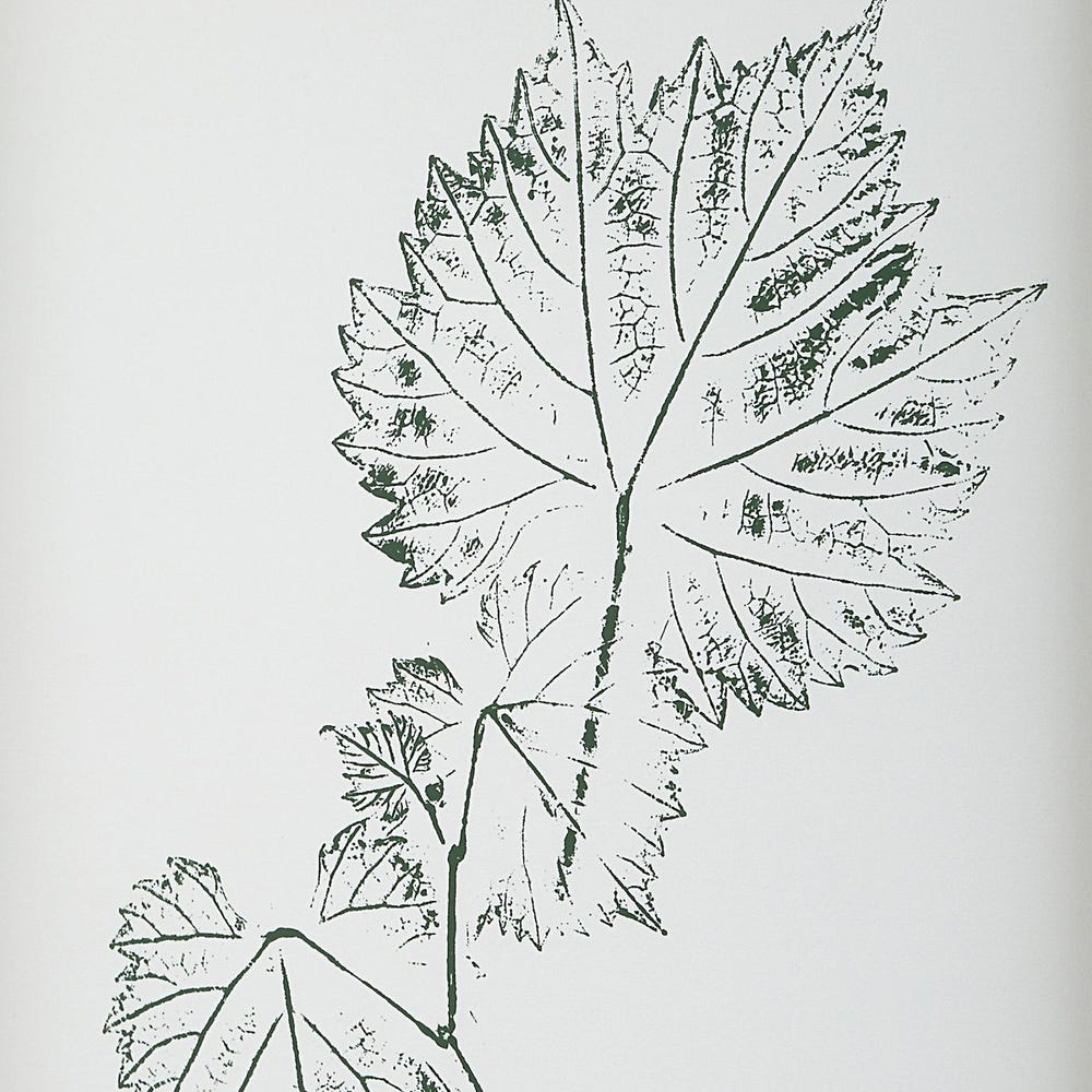 Natures Script Framed Prints Set Of 9