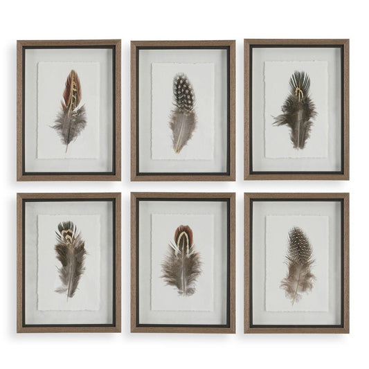 Birds of a Feather Framed Prints, Set of 6