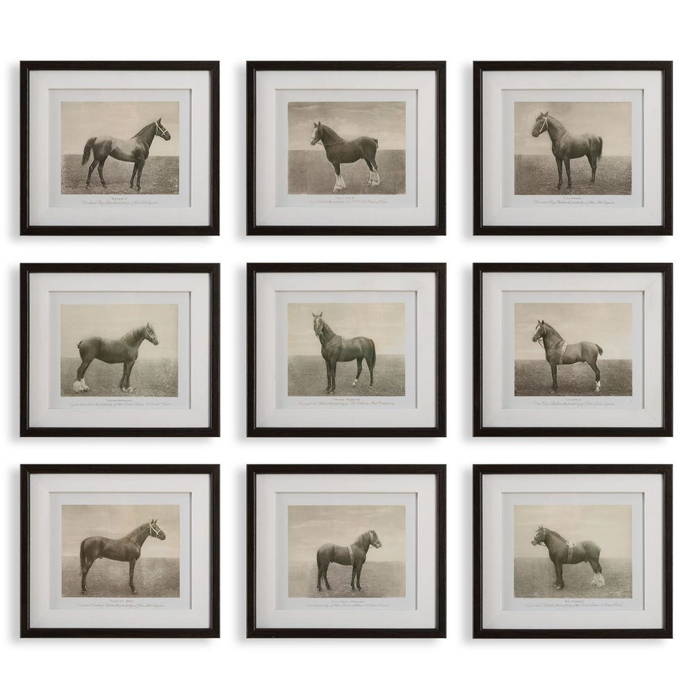 Equine Dynasty Framed Prints, Set of 9