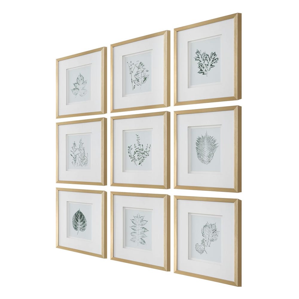 Natures Script Framed Prints Set Of 9