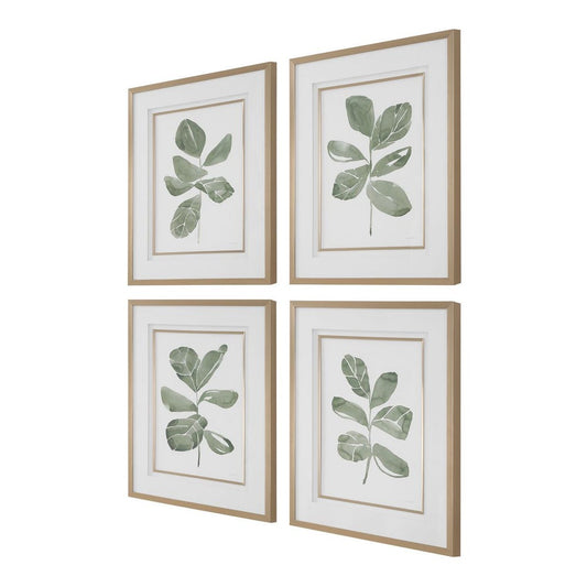 Fiddle Head Leaf Framed Prints Set of 4
