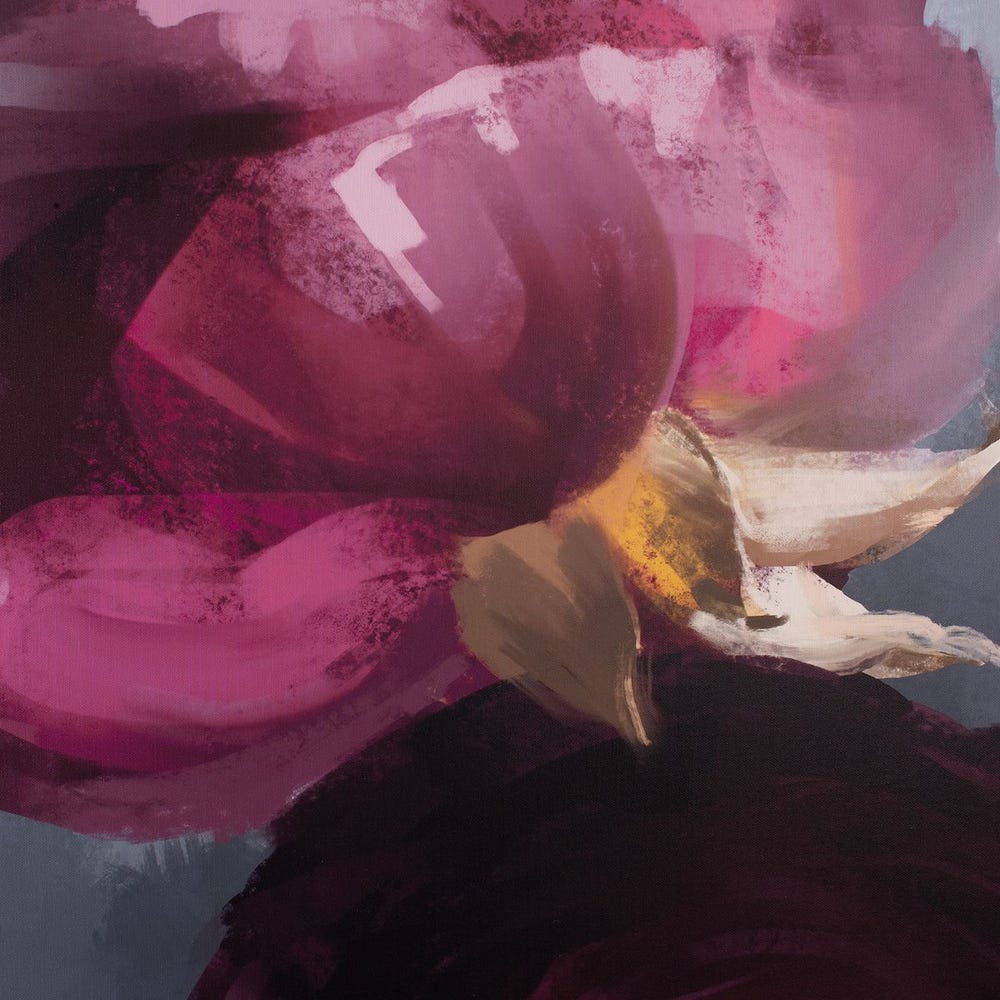 Plum Ranculus Framed Canvas