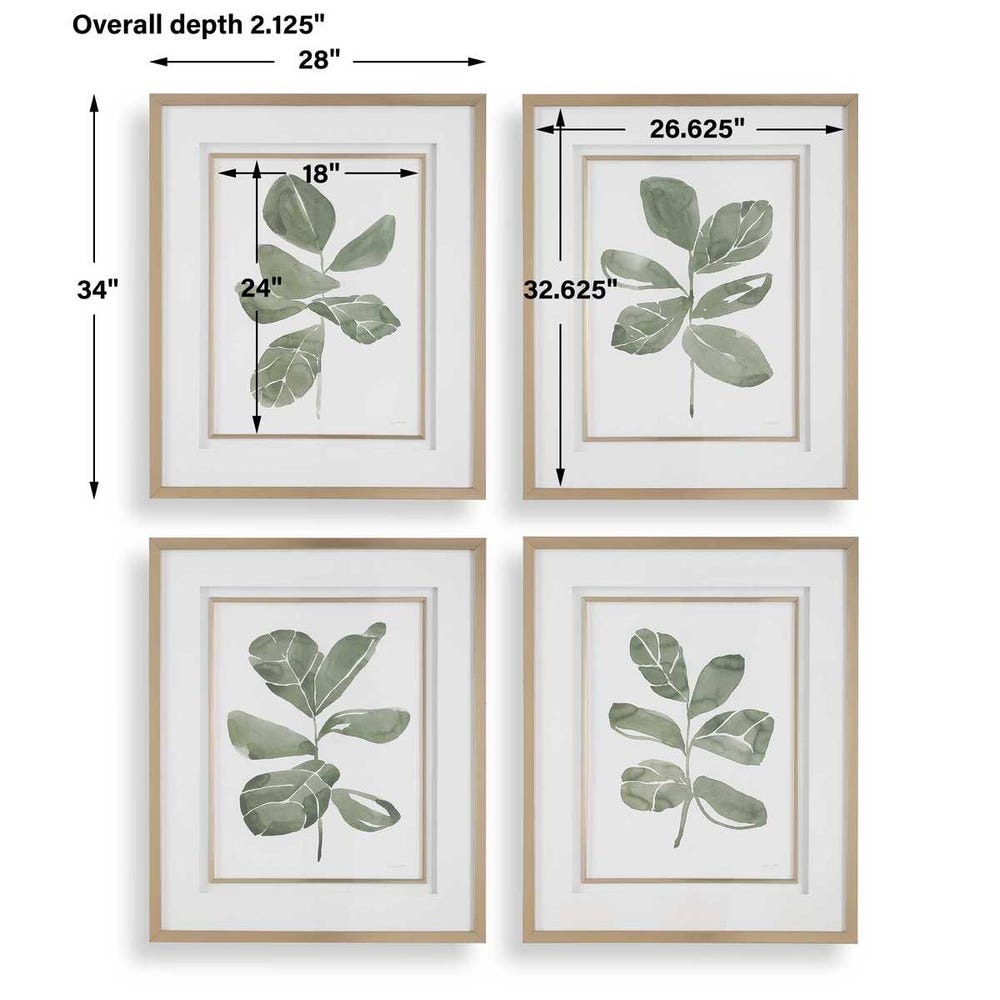 Fiddle Head Leaf Framed Prints Set of 4