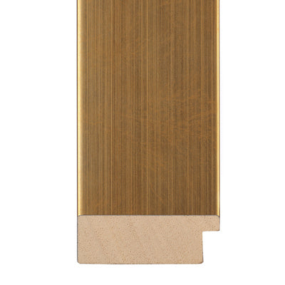 MD3 Gold Frame