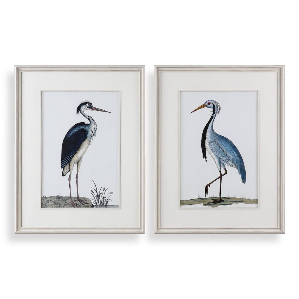 Shore Birds Framed Prints, Set of 2