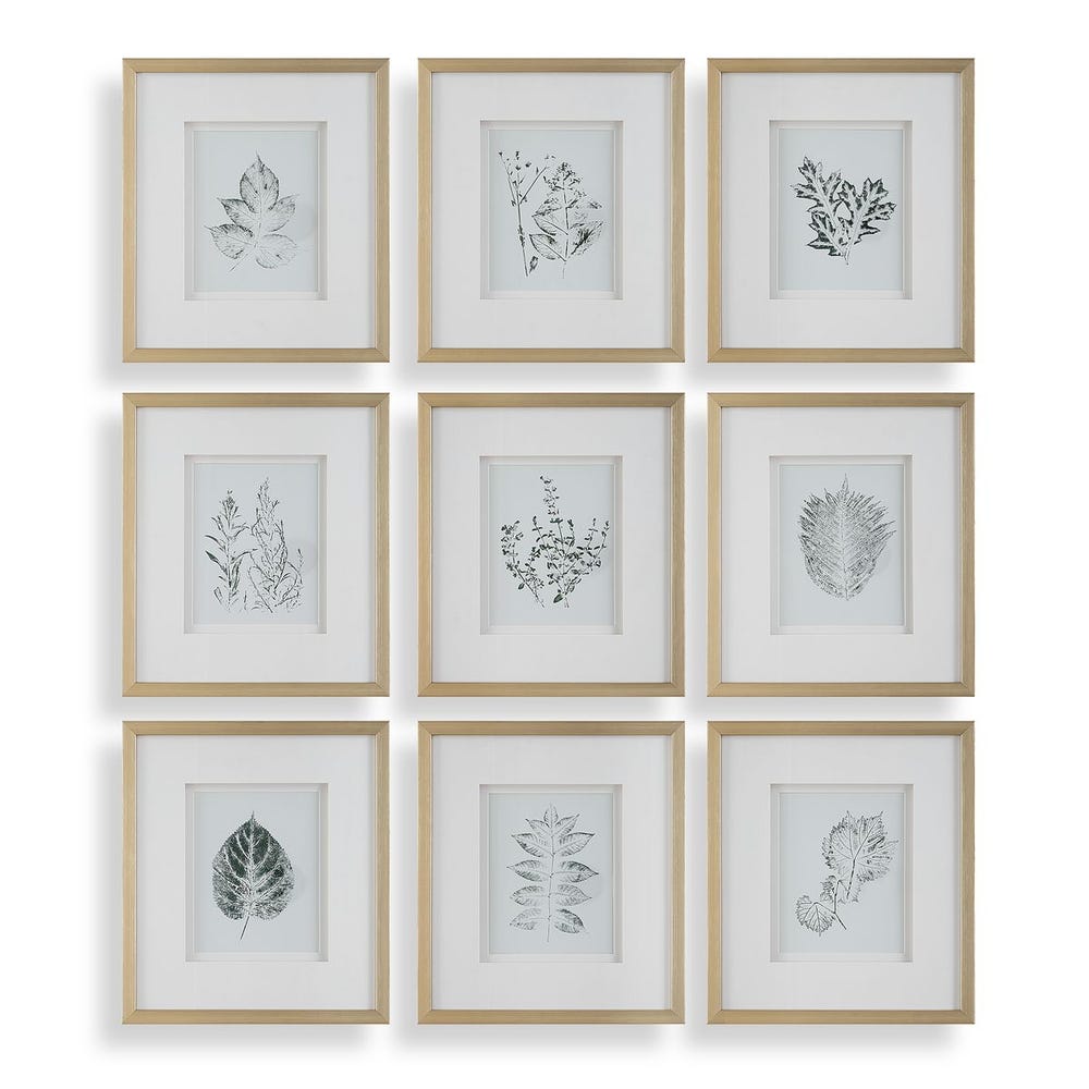 Natures Script Framed Prints Set Of 9