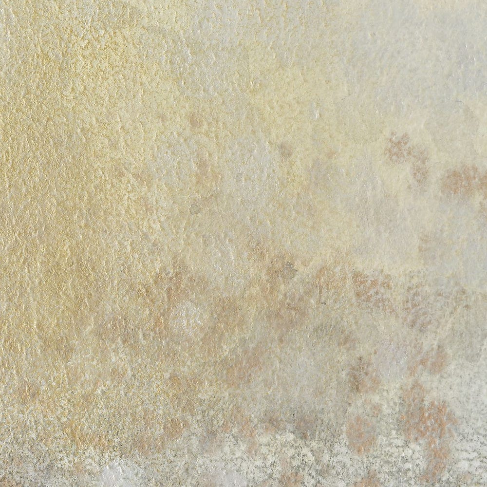 Now & Then Hand Painted Canvases, Set of 4